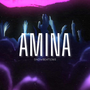 AMINA (Demo)