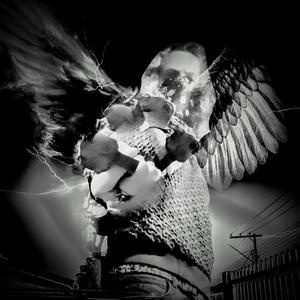 Phoney Bolagnaee (feat. CuttyCarlo)