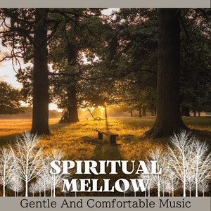 Spiced Amber Shadows