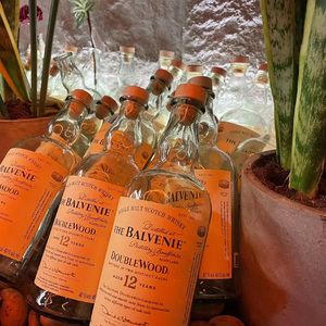 Dead Roses（荔只因 remix）