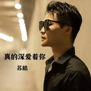真的深爱着你 (伴奏)