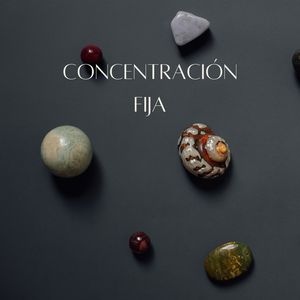 Concentración fija