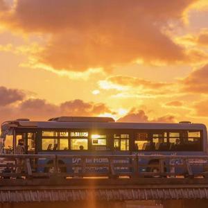 还没去过你的岛屿