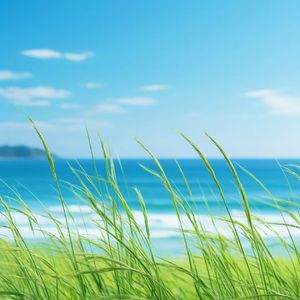 我们就别在分离