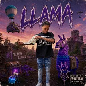 Llama