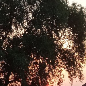 烂透了（prod.9Zi）