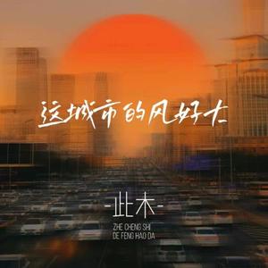 这城市的风好大-此木