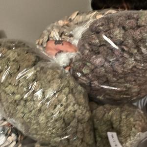 c$ah (feat. chlodoswintha & guero)