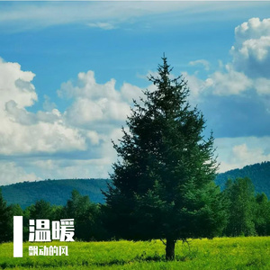 我的歌声为你绽放 伴奏