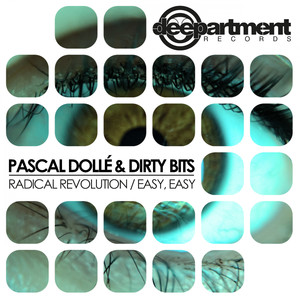 Radical Revolution (Original Mix)