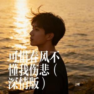可惜春风不懂我伤悲  (Remix)