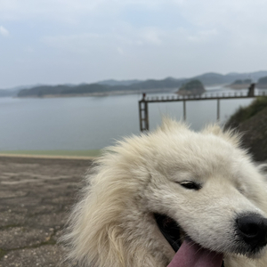 秋天装不下夏天的爱恋