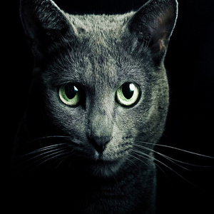 月光如梦( 慢摇版)-伴奏