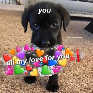 写给遇见.（Prod by.SKrrr）