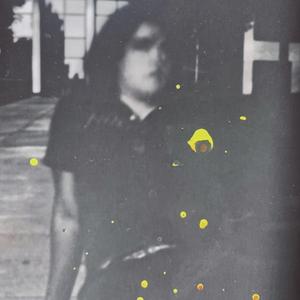 interlude for a shadow