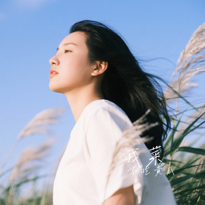 我菜