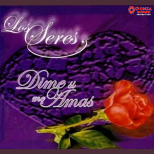 Piel de Ángel / Te Conozco Bien / Volverás / Errante Enamorado / Sin Tu Amor No Se Vivir / Como Deseo Ser Tu Amor
