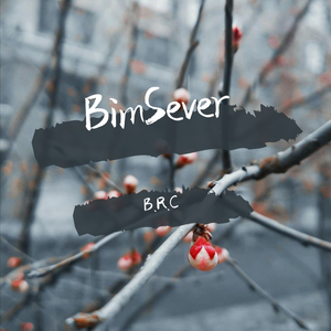 BimSever