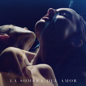 La Sombra del Amor