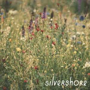 Porter Robinson - Wind Tempos (Silvershore Edit)