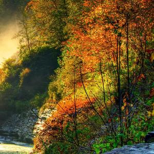 让我一次爱个够