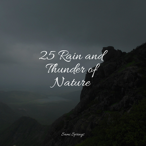 Rainflows