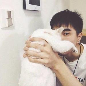 谈恋爱前不如先养猫