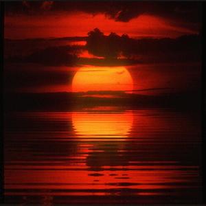 东方之耻 (废青diss)(killshot)