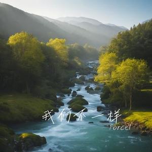 我们不一样 (Forcel Remix)