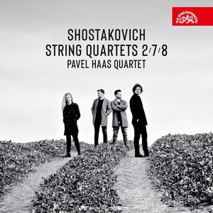 String Quartet No. 8 in C-Sharp Minor, Op. 110:No. 2, Allegro molto