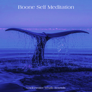 Whale Sounds For Sleep