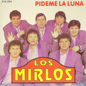 La danza de los mirlos