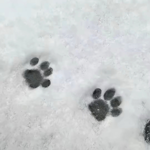雨水天里邂逅浪漫