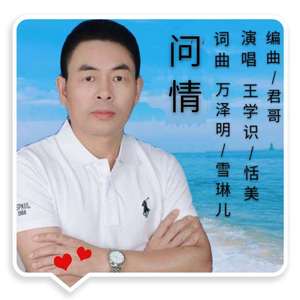 问情