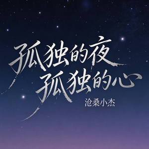 孤独的夜孤独的心