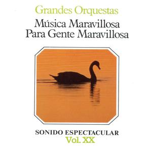 Yo Que No Vivo Sin Ti