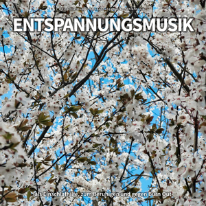 Emotionen im Mondlicht