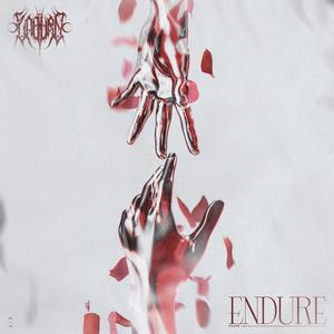 ENDURE