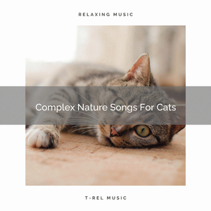 Sea Tunes Especially For Your Dear Cats
