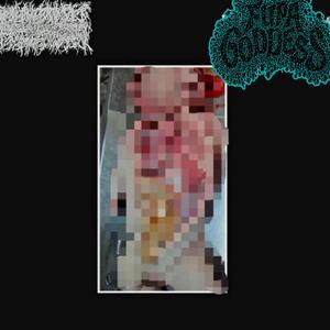 Low calorie dont mean no calorie