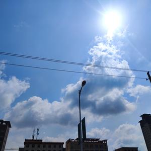 夏如白鸟飞（翻唱）