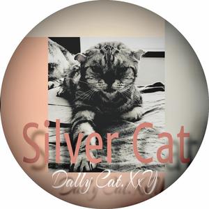 Silver Cat