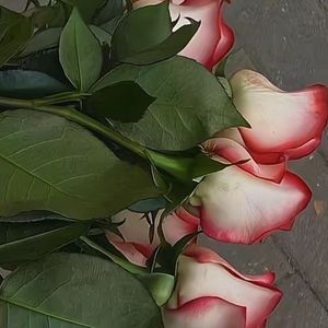 若早知相遇是离别的伏笔