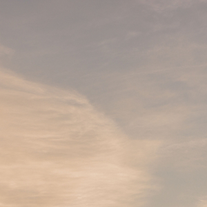 静静地待在你身边