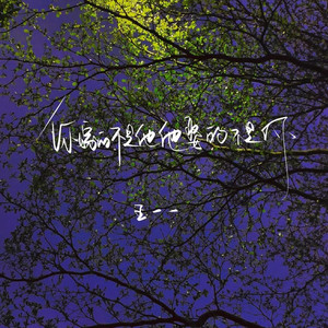 你嫁的不是他他娶的不是你