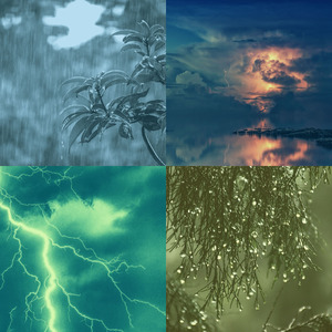 一尘不染雨印象数