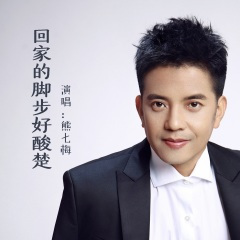 回家的脚步好酸楚 (DJ版)