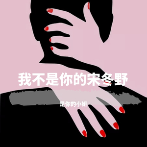 我不是你的宋冬野