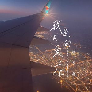 我是真的爱上你
