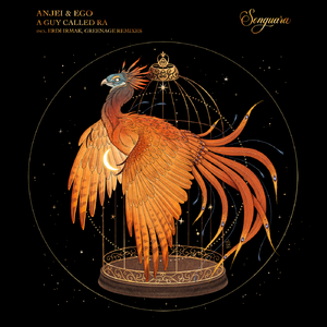 A Guy Called Ra (Erdi Irmak Remix Version 1)